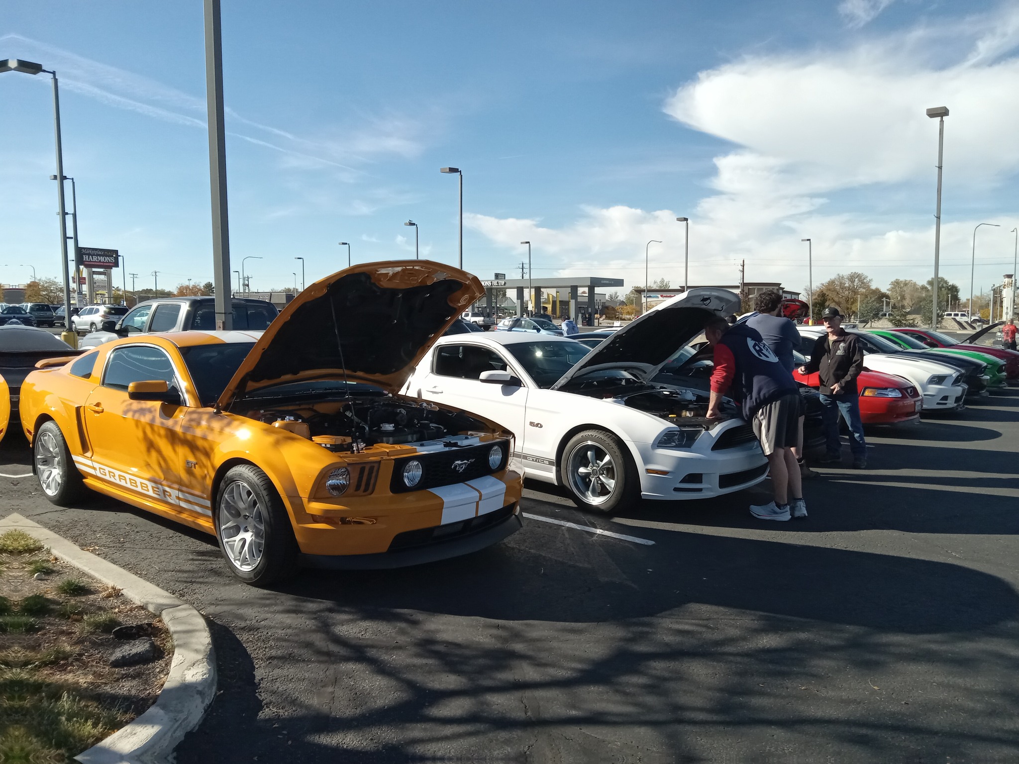 Roy Cars and Coffee